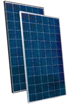 Usha 100 Watt Poly Solar Panel