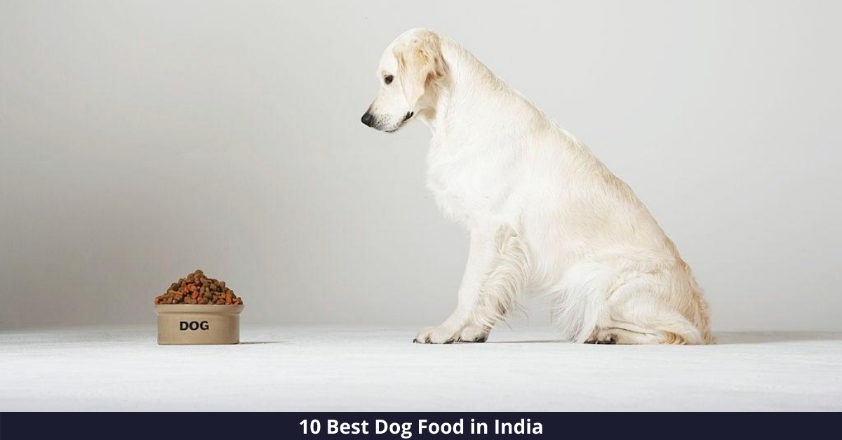 10 Best Dog Foods in India [year]: Get those Tails wagging again