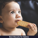10 Best Biscuits for Babies (2021): Delightful Delicacies