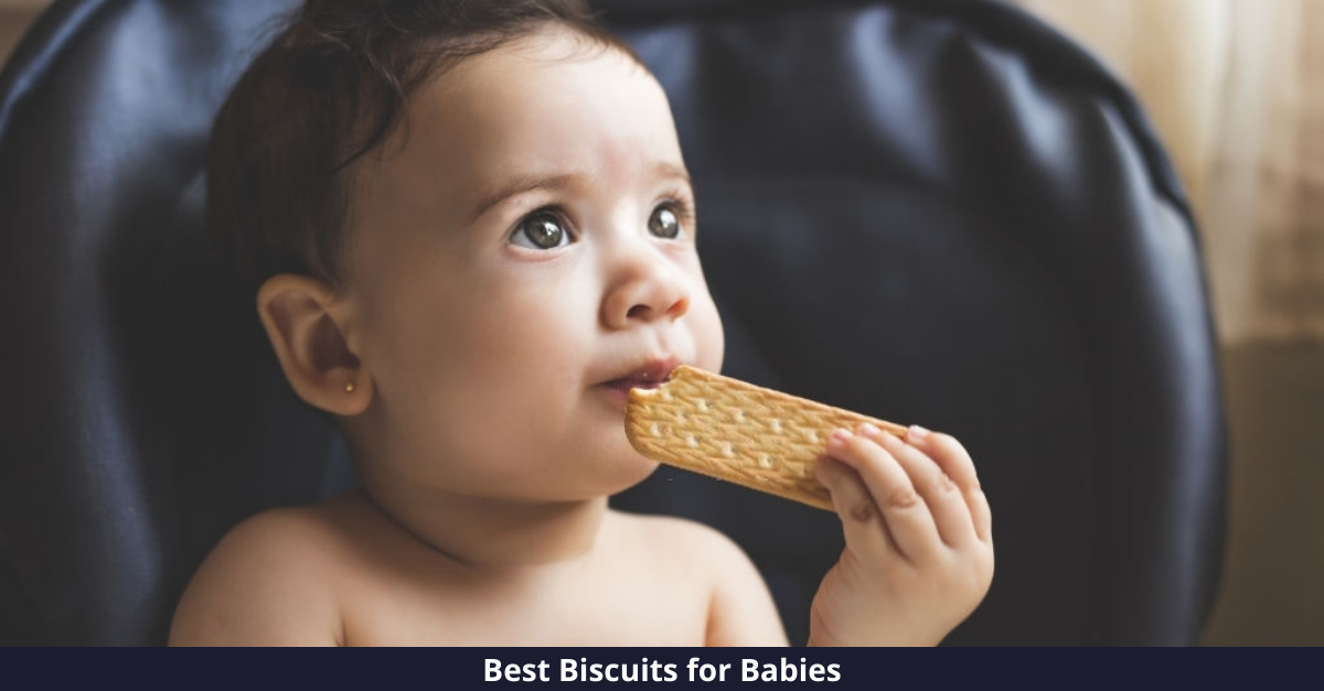 10 Best Biscuits for Babies [year]: Delightful Delicacies