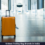 Top 10 Trolley Bag Brands in India 2021