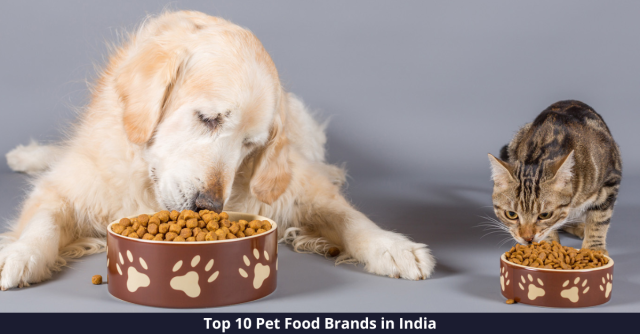best pet food brands in india