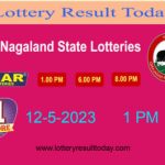 Nagaland State Lotterys: Your Gateway to Excitement