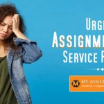 Urgent-Assignment-Help-Service-Provider