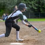 Swing for the Fences with these Top-Rated Slow Pitch Softball Bats