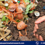 Agricultural Waste to Energy Market