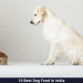 Best Dog Foods in India